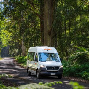 Apollo Endeavour Campervan – 4 Berth Front View 3